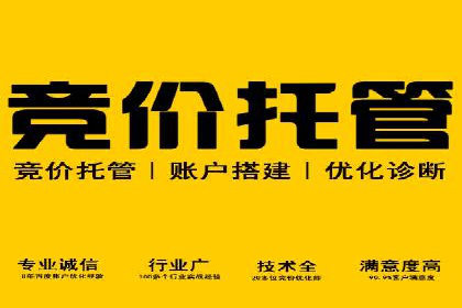 SEM营销推广实战案例：揭秘成功之道
